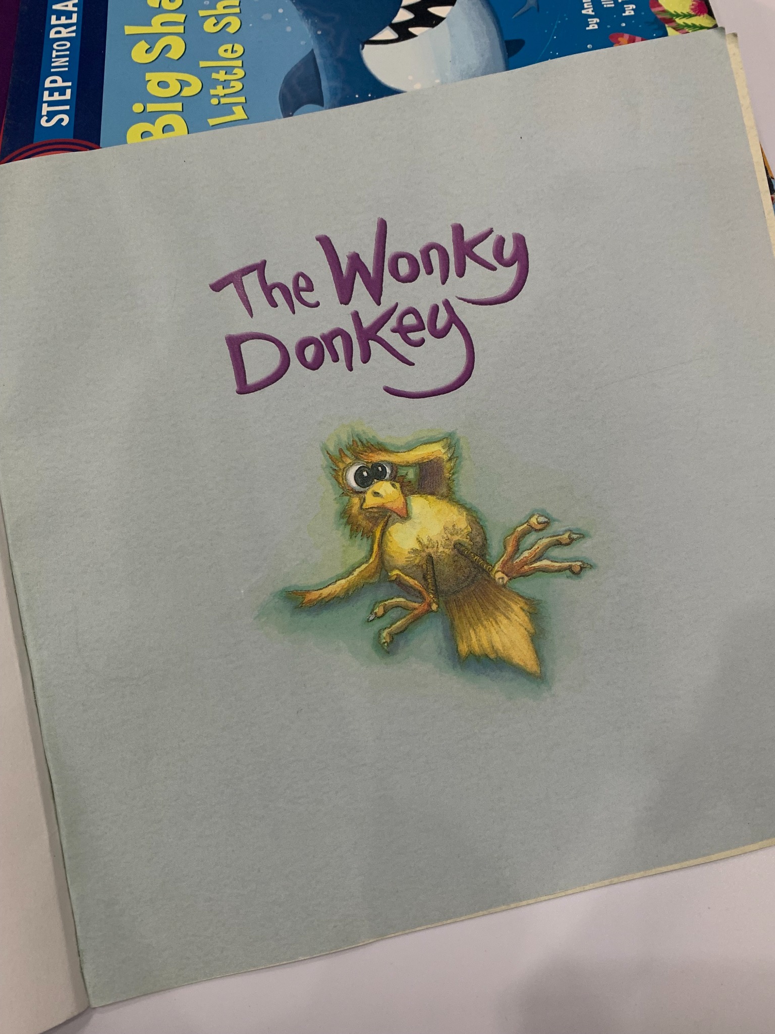The Wonky Donkey – Craig Smith - ảnh 5