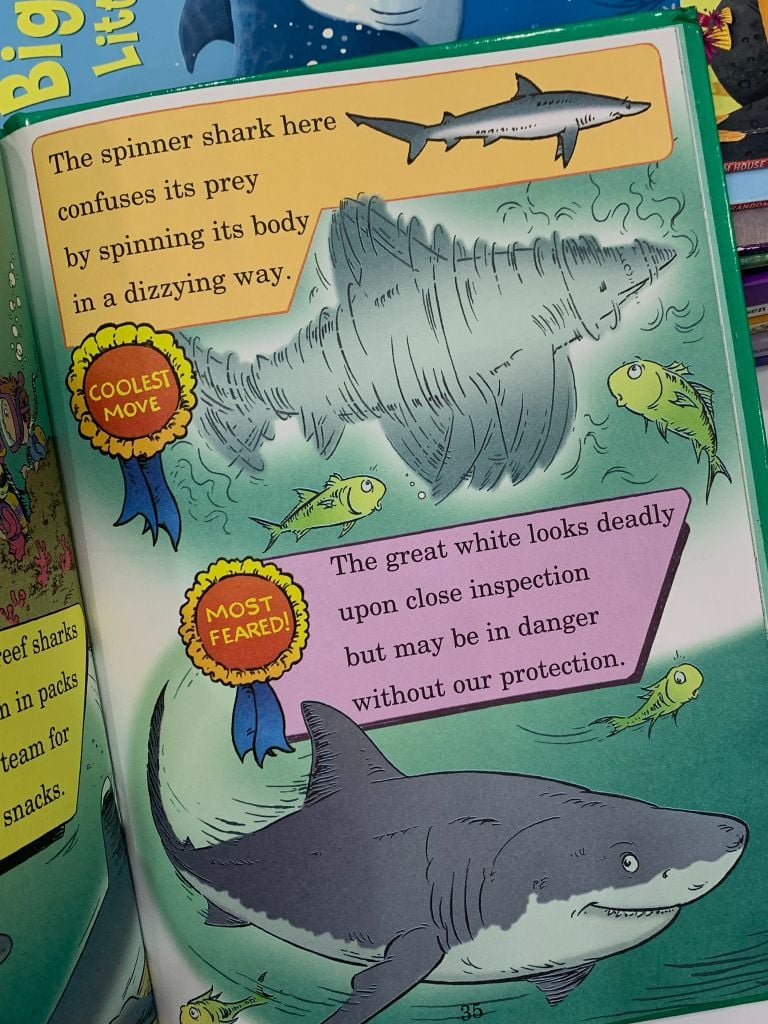 Hark! A Shark!: All About Sharks – Bonnie Worth - Ảnh thực tế 7