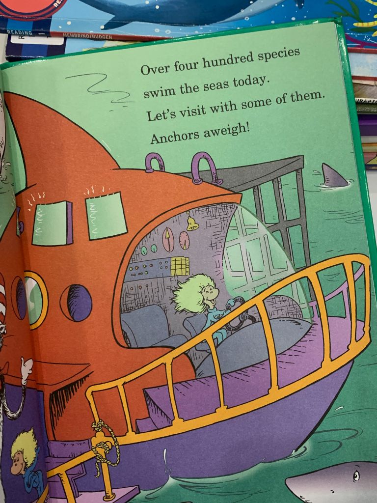 Hark! A Shark!: All About Sharks – Bonnie Worth - Ảnh thực tế 10