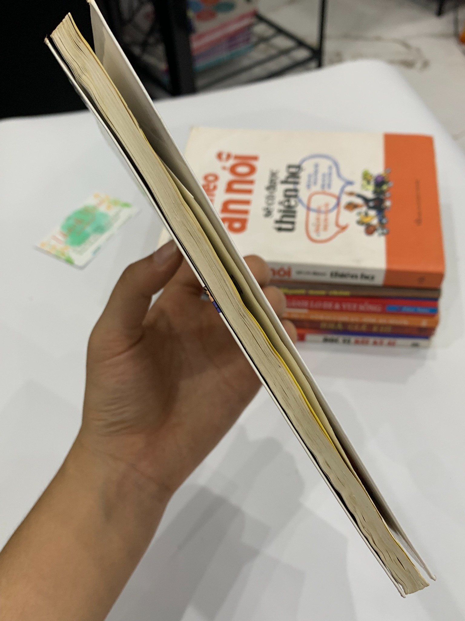 Shin – Cậu bé bút chì – Yoshito Usui