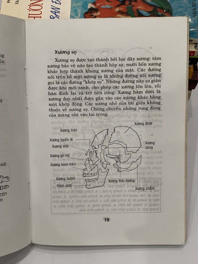 Các bệnh về cơ – xương – da – Lê Dự Phương - Ảnh thực tế 9