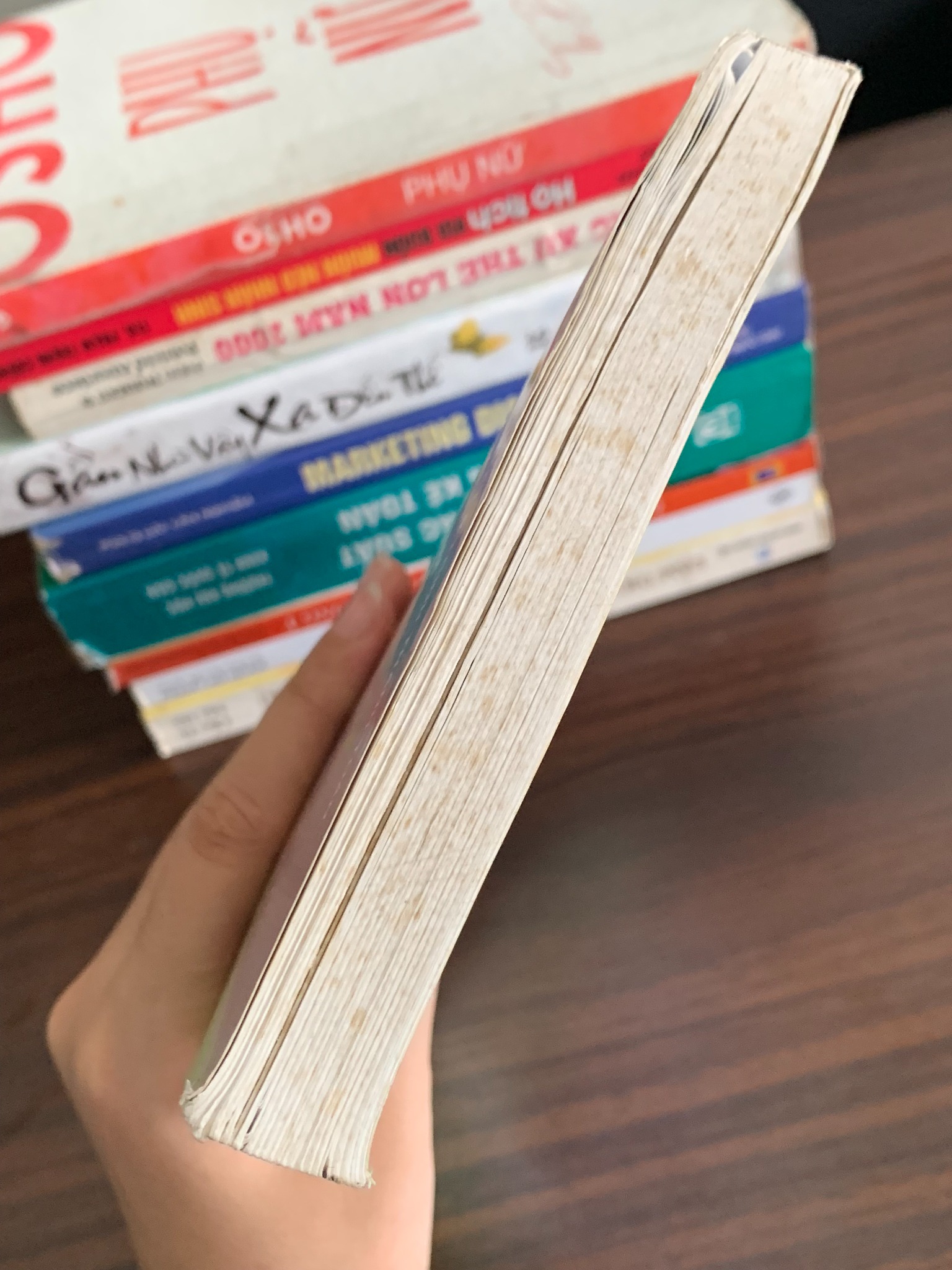 Tuyển Chọn 100 Bài Luận Tiếng Anh Trung Cấp – PGS.TS Lưu Văn Nghiêm - ảnh 4