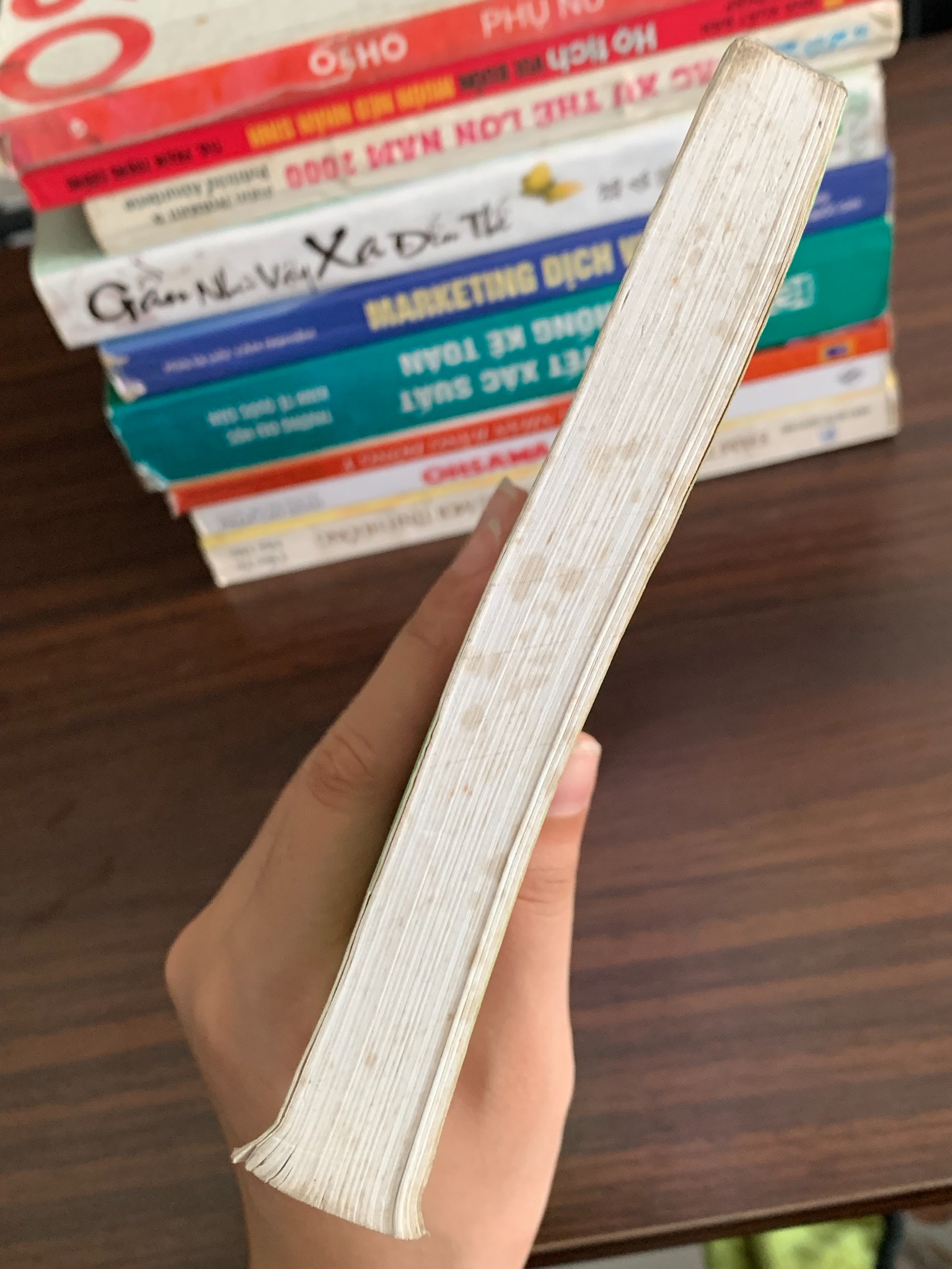 Tuyển Chọn 100 Bài Luận Tiếng Anh Trung Cấp – PGS.TS Lưu Văn Nghiêm - ảnh 5