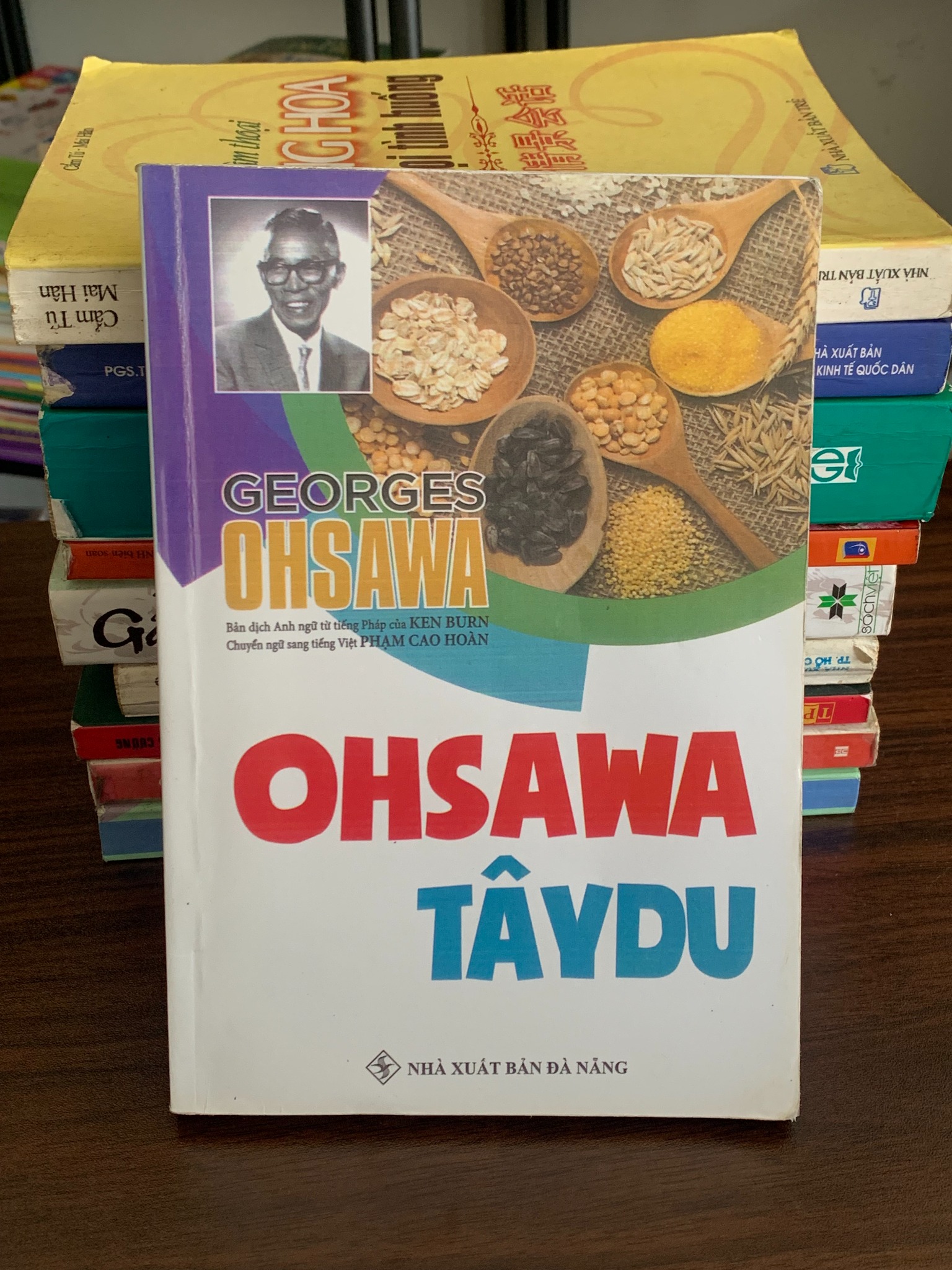 Ohsawa Tây Du – Phạm Cao Hoàn (dịch) - ảnh 2
