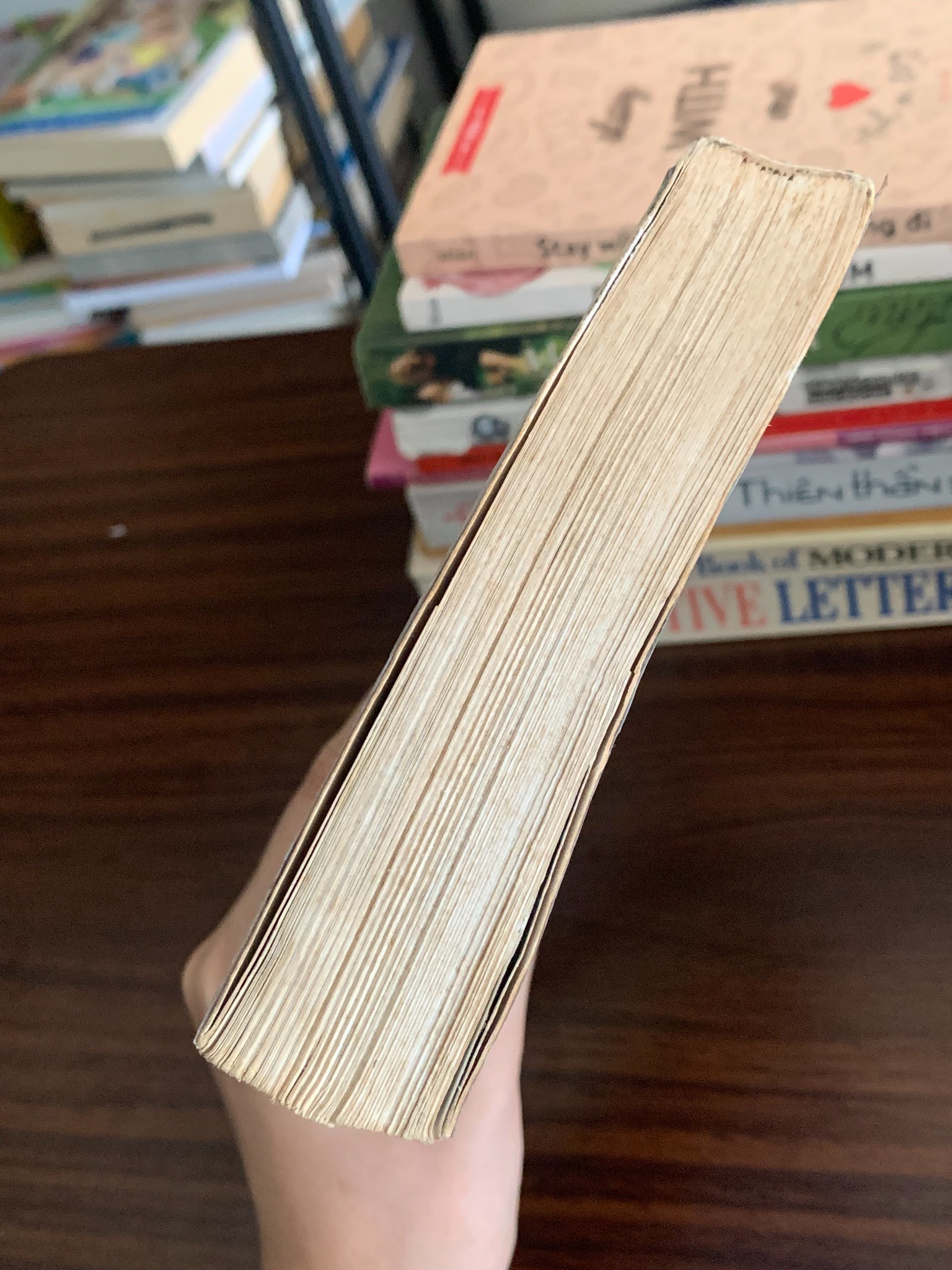 Mẹ chồng ăn thịt cả nhà nàng dâu – Ký Đạt