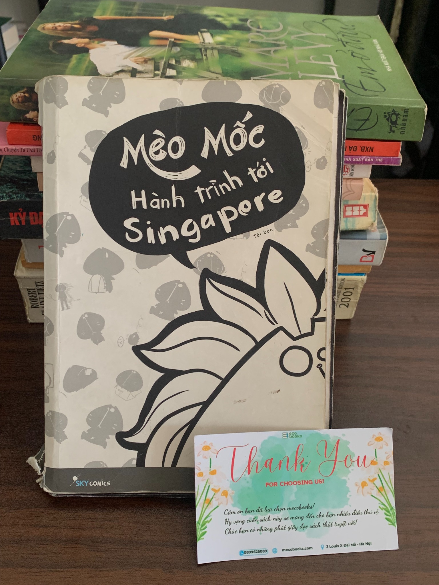 Hành trình Cat Tới Singapore – Mèo Mốc