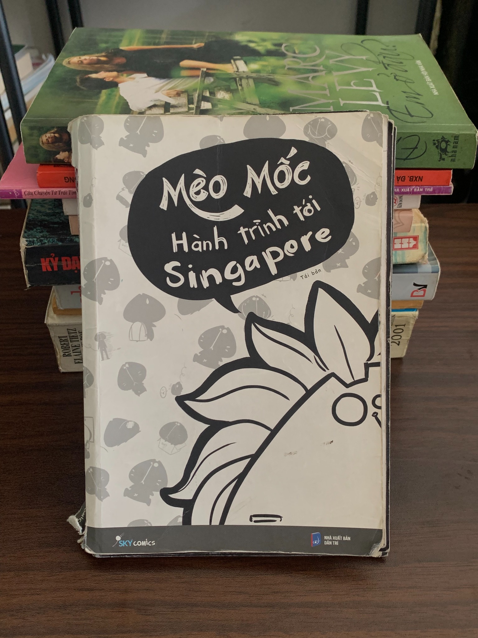 Hành trình Cat Tới Singapore – Mèo Mốc - ảnh 2