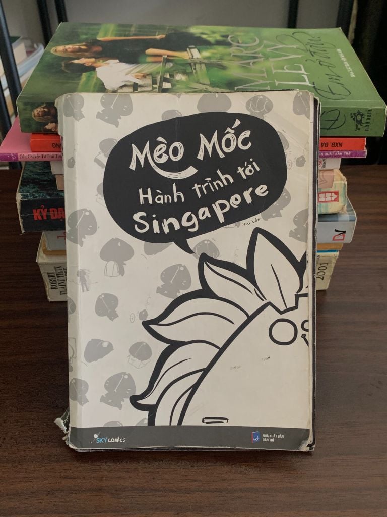 Hành trình Cat Tới Singapore – Mèo Mốc - Ảnh chụp thực tế