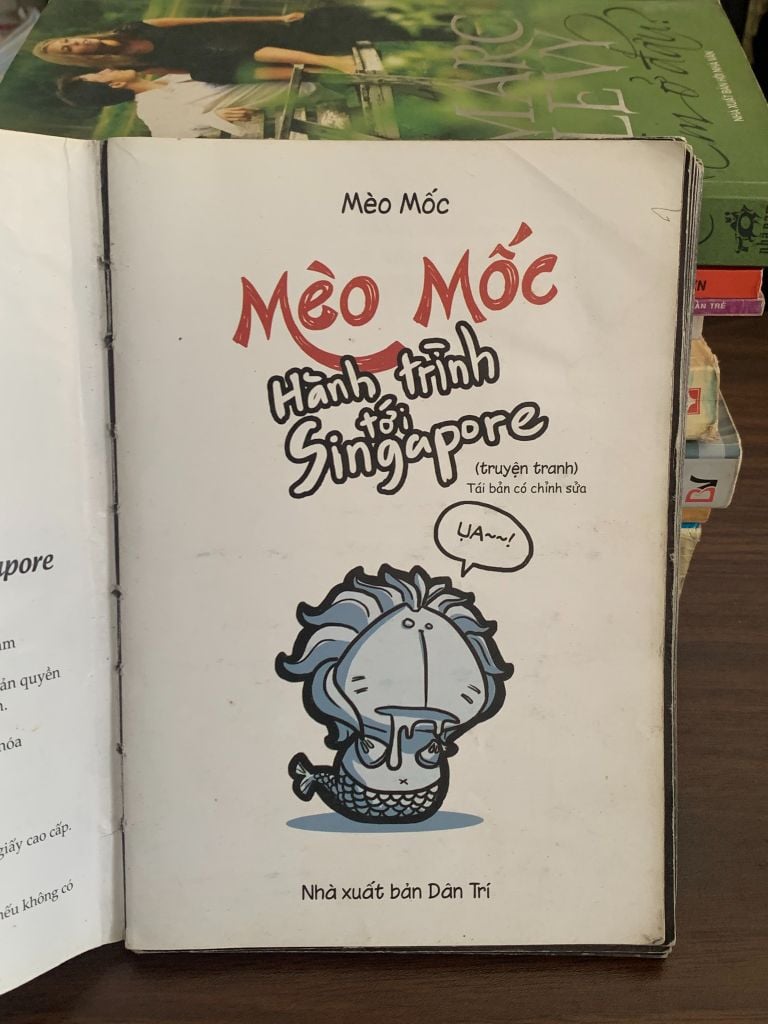 Hành trình Cat Tới Singapore – Mèo Mốc - Ảnh thực tế 7
