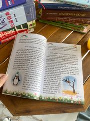 Thế giới bí ẩn những điều em muốn biết – Hà Thị Ánh - ảnh 2