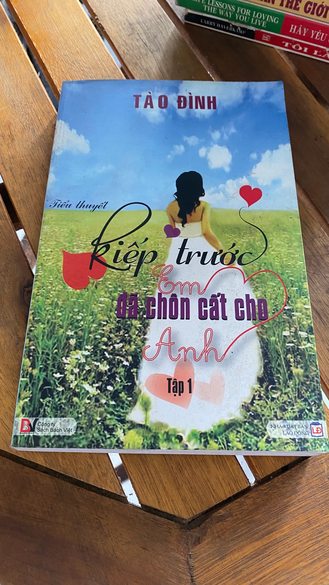 Kiếp trước em đã chôn cất cho Anh (Tập 1) - Táo Đình