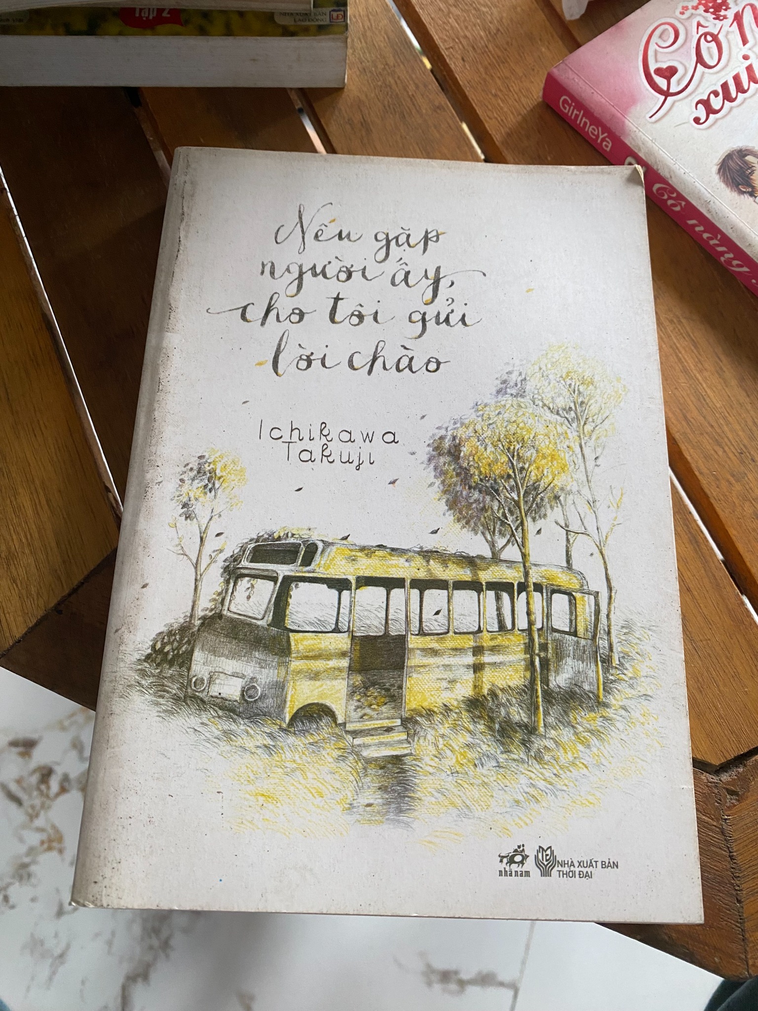 Nếu gặp người ấy, cho tôi gửi lời chào - Ichikawa Takuji