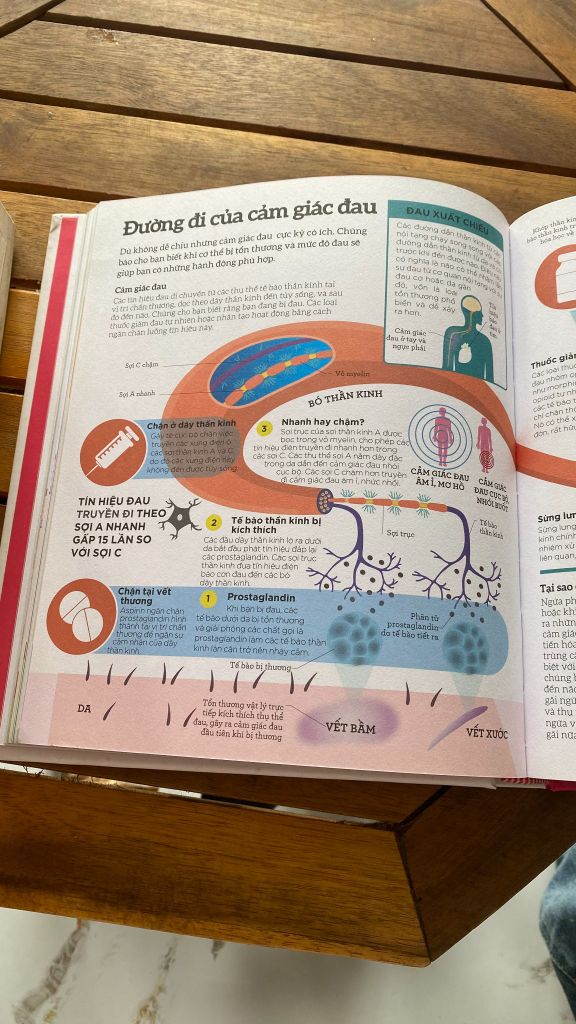 How The Body Works - Ảnh chụp thực tế