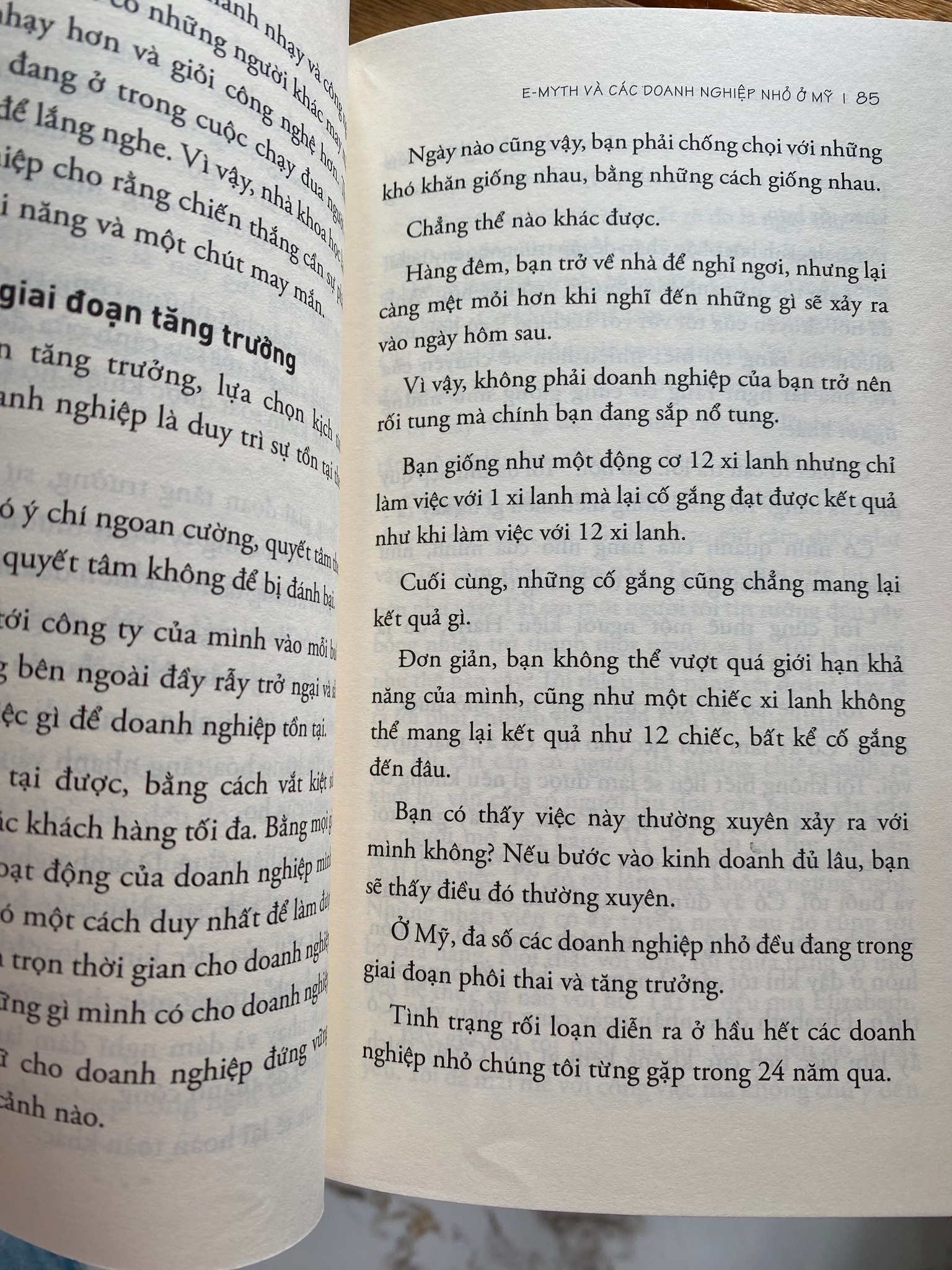 Xây Dựng Doanh Nghiệp Hiệu Quả - Michael E. Gerber