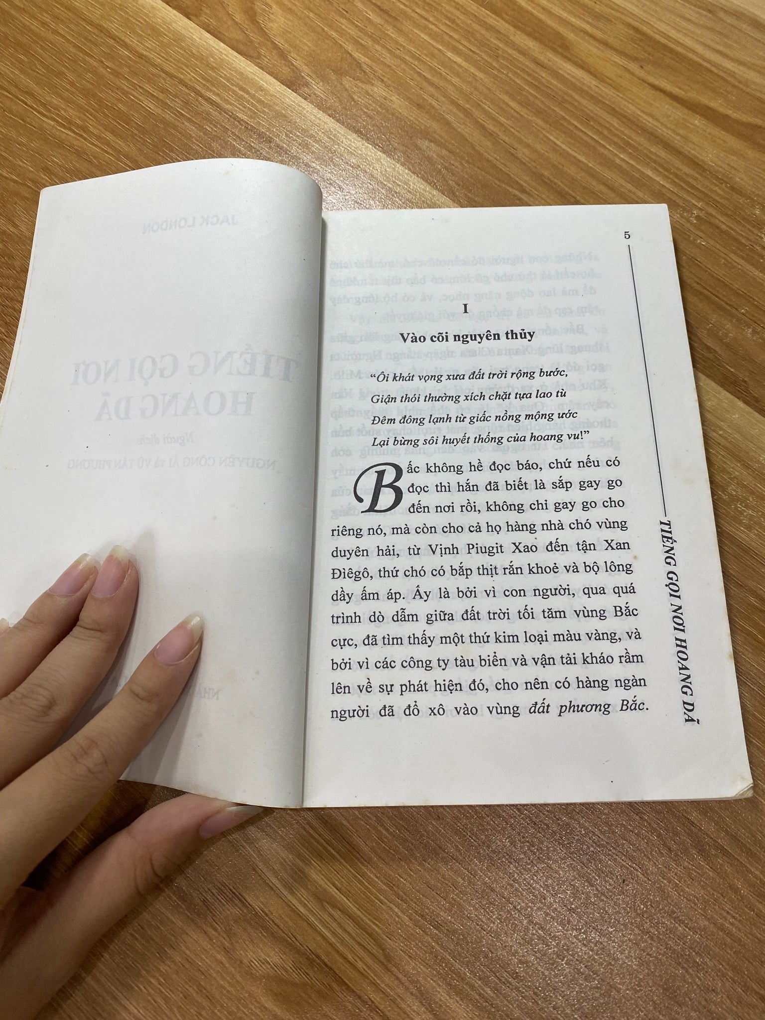 Tiếng gọi nơi hoang dã - Jack London