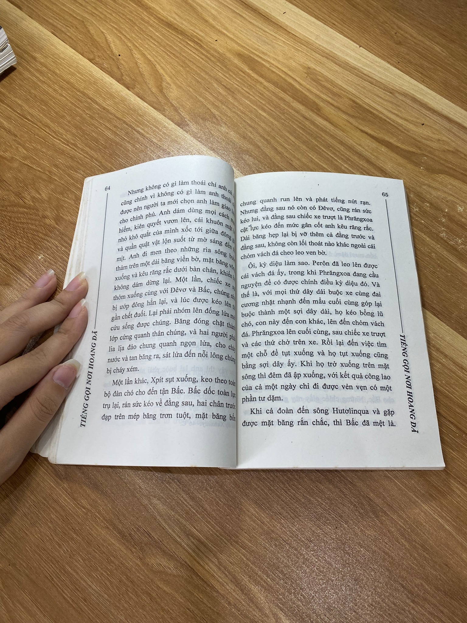 Tiếng gọi nơi hoang dã - Jack London