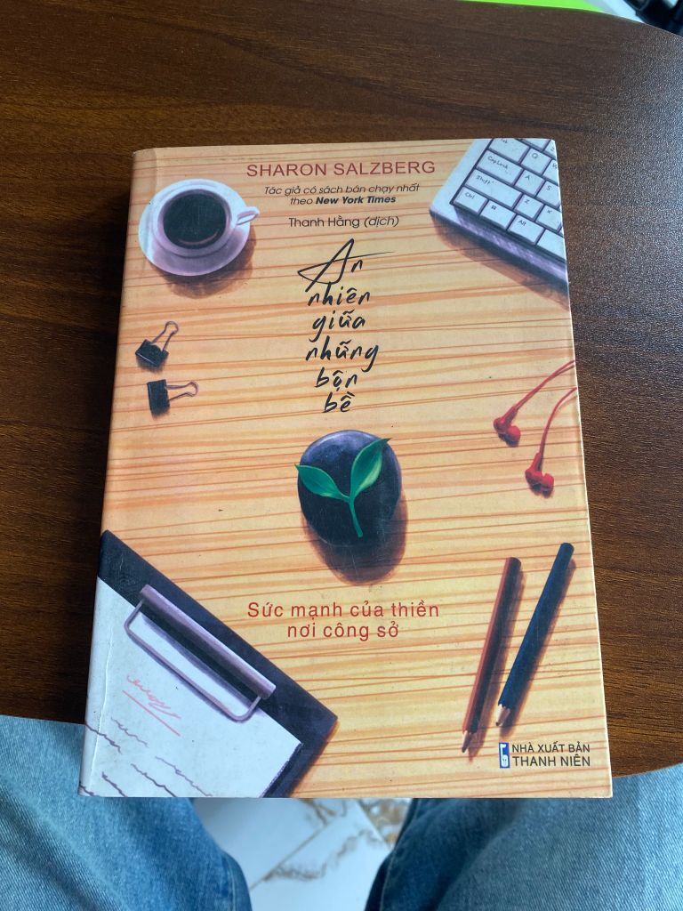 An nhiên giữa những bộn bề - Sharon Salzberg - Ảnh thực tế 1