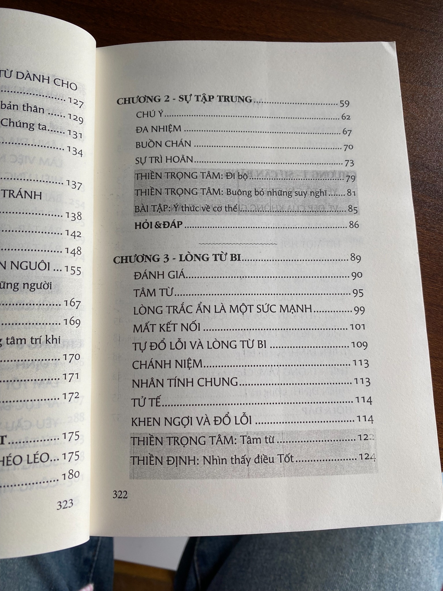 An nhiên giữa những bộn bề - Sharon Salzberg