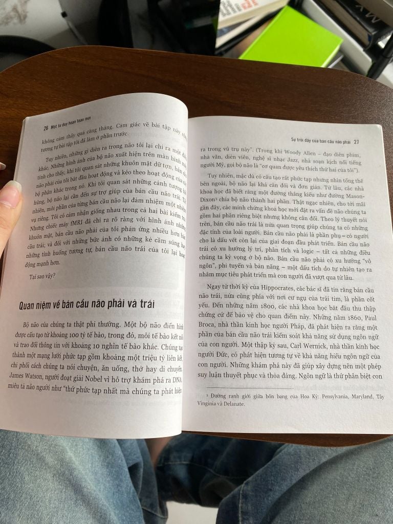 Một tư duy hoàn toàn mới - Daniel H. Pink - Ảnh thực tế 4
