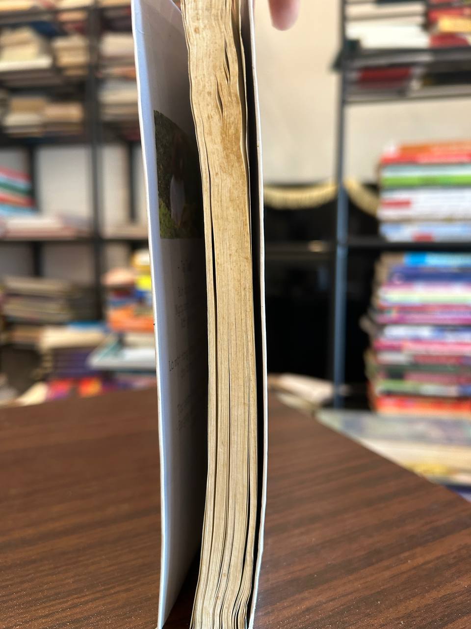 Không xác định - Không xác định