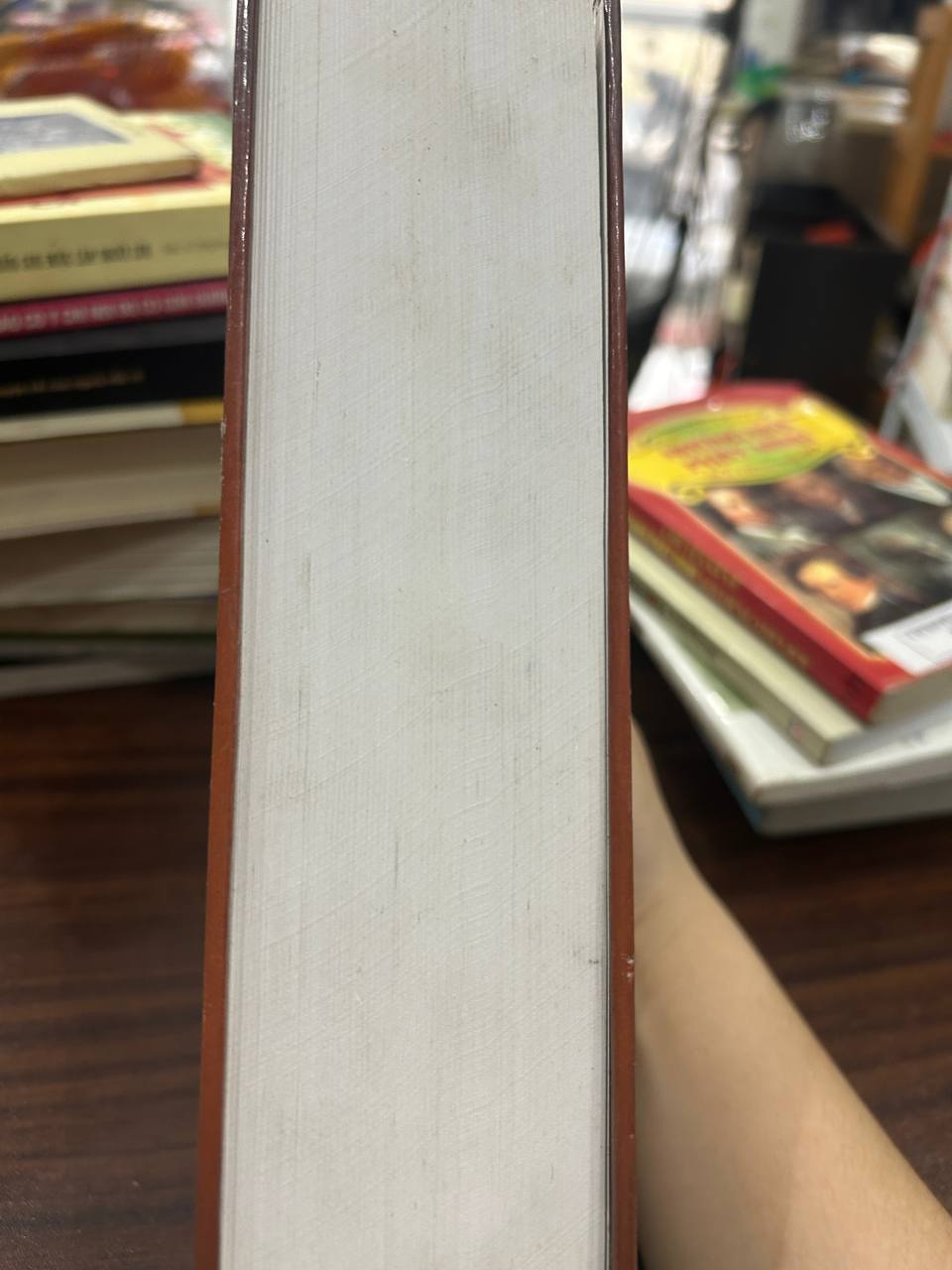 Kinh Mi Tiên Vấn Đáp - Hòa Thượng Giới Nghiệm - Hòa Thượng Giới Nghiệm (ThitasīlamaHāthera) - BT - Hòa Thượng Giới Nghiệm (ThitasīlamaHāthera)