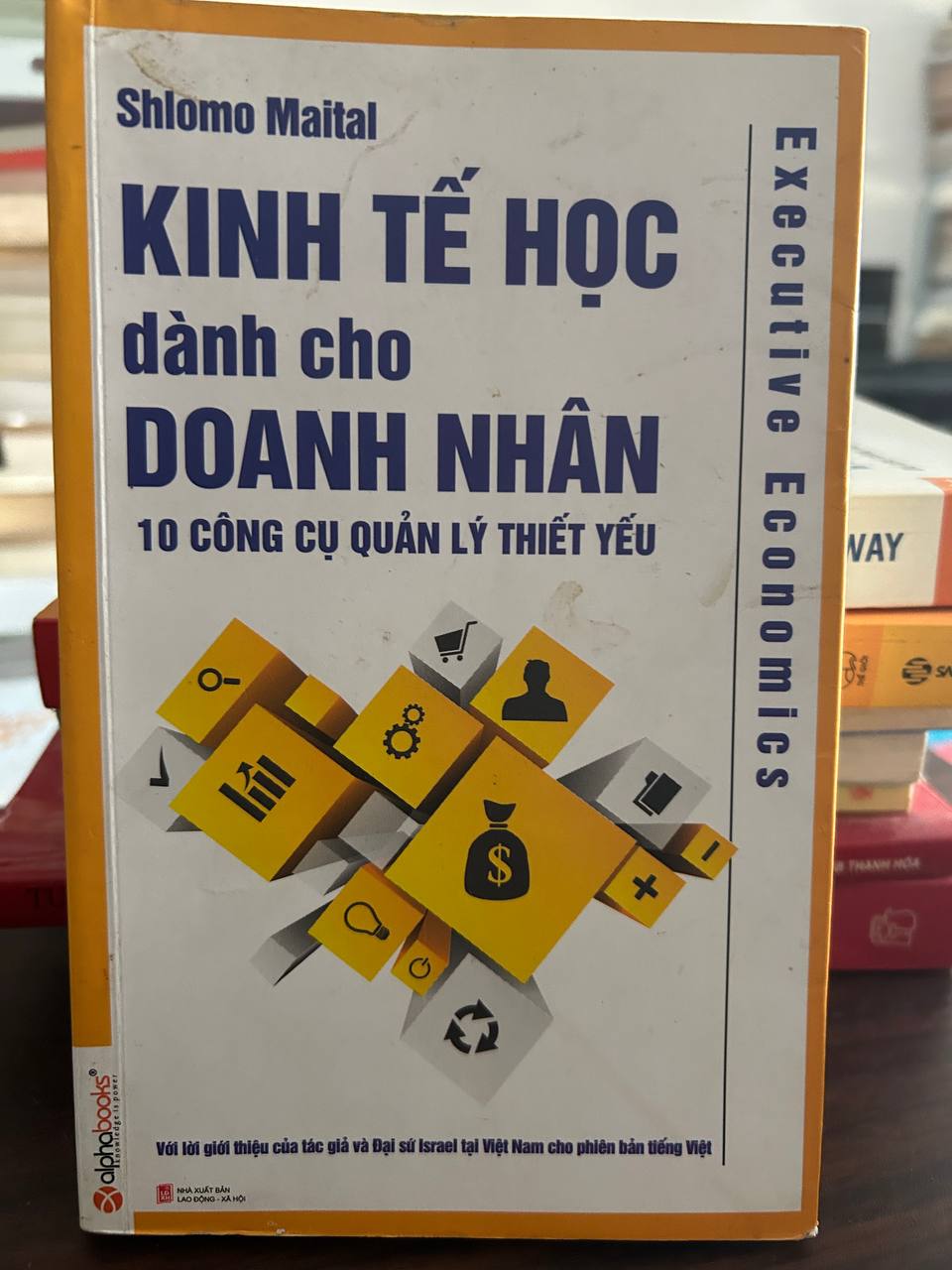 Kinh Tế Học Dành Cho Doanh Nhân - Shlomo Maital - Shlomo Maital