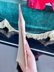 Một Số Hiểu Biết Về Chủ Nghĩa Cộng Sản - Vụ Huấn Học - Ban Tuyên Huấn Trung Ương - ảnh 2