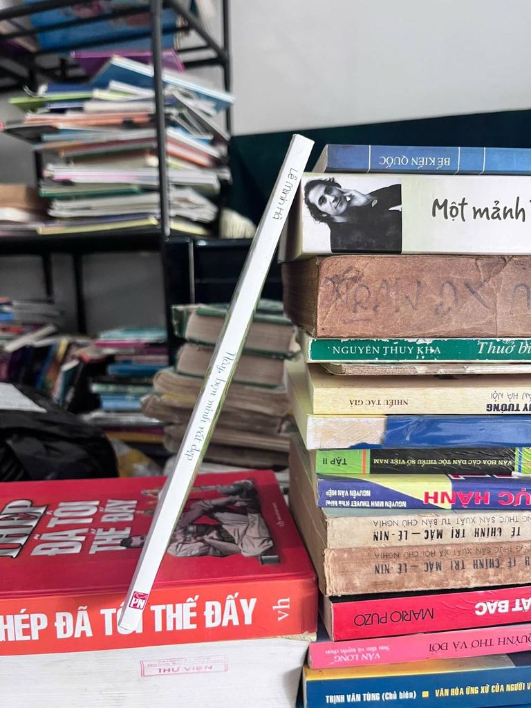 Này, bọn mình rất đẹp - Lê Minh Hà - Ảnh chụp thực tế