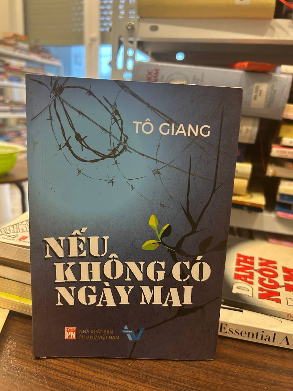 Nếu Không Có Ngày Mai - Tô Giang - Tô Giang