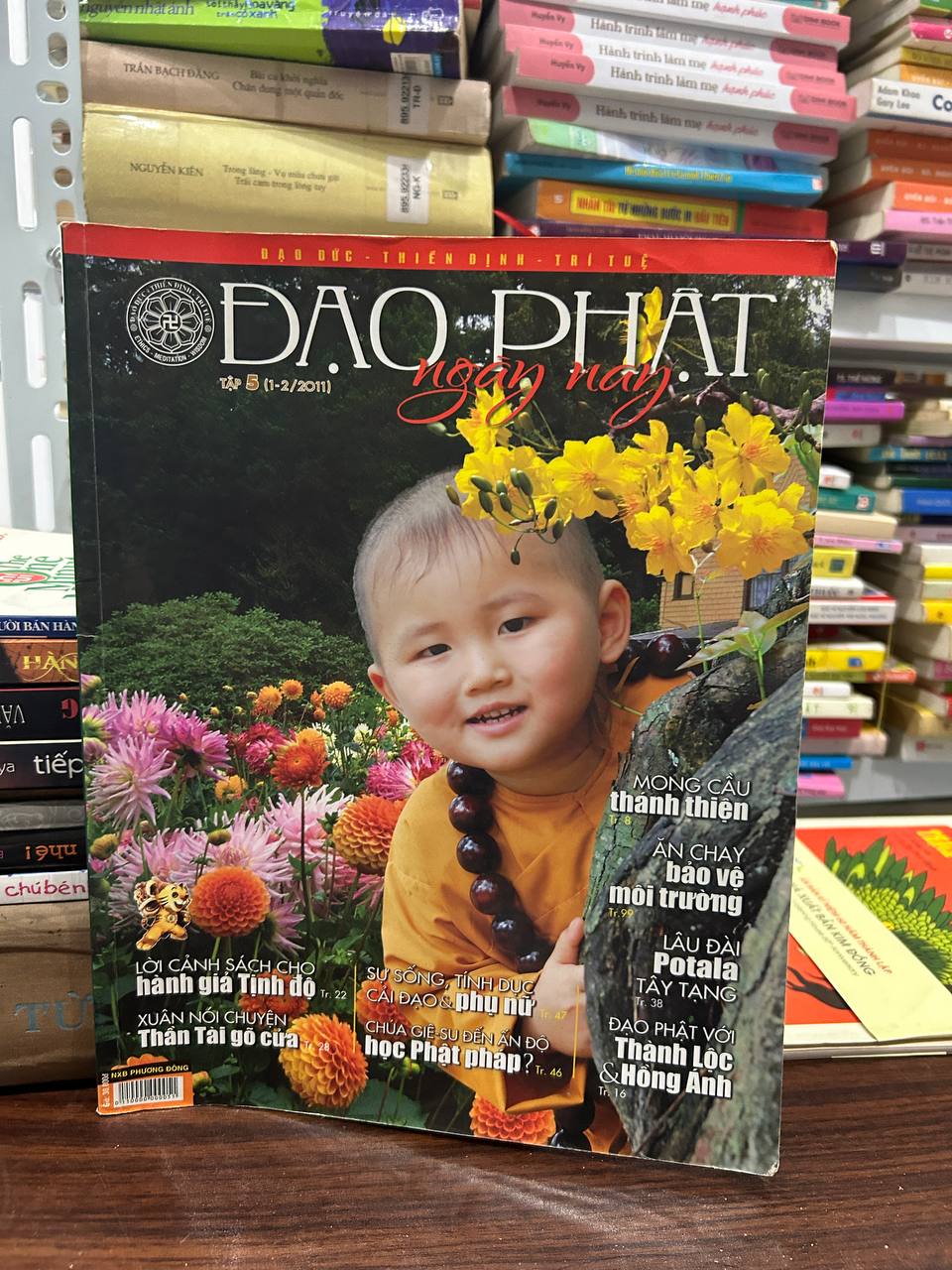 Ngọc Bích Nephrite Đón Chào Năm Mới - Công Ty TNHH Toàn Toàn Phát