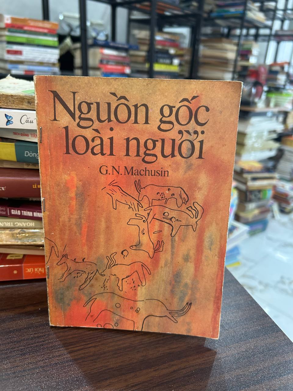 Nguồn gốc loài người - G.N. Machusin