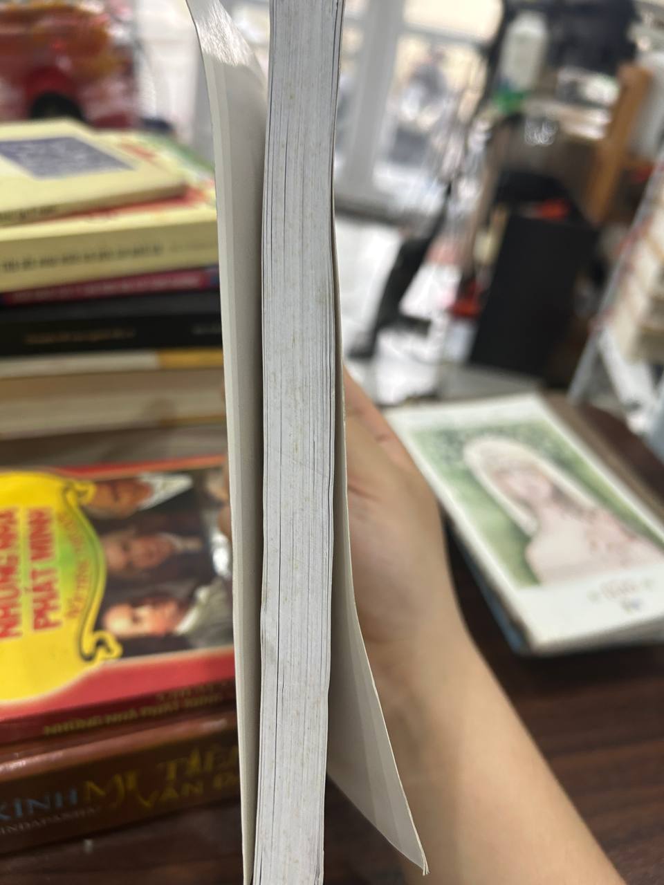 Những bông hoa đẹp - Như Đàm - Như Đàm - BT - Như Đàm