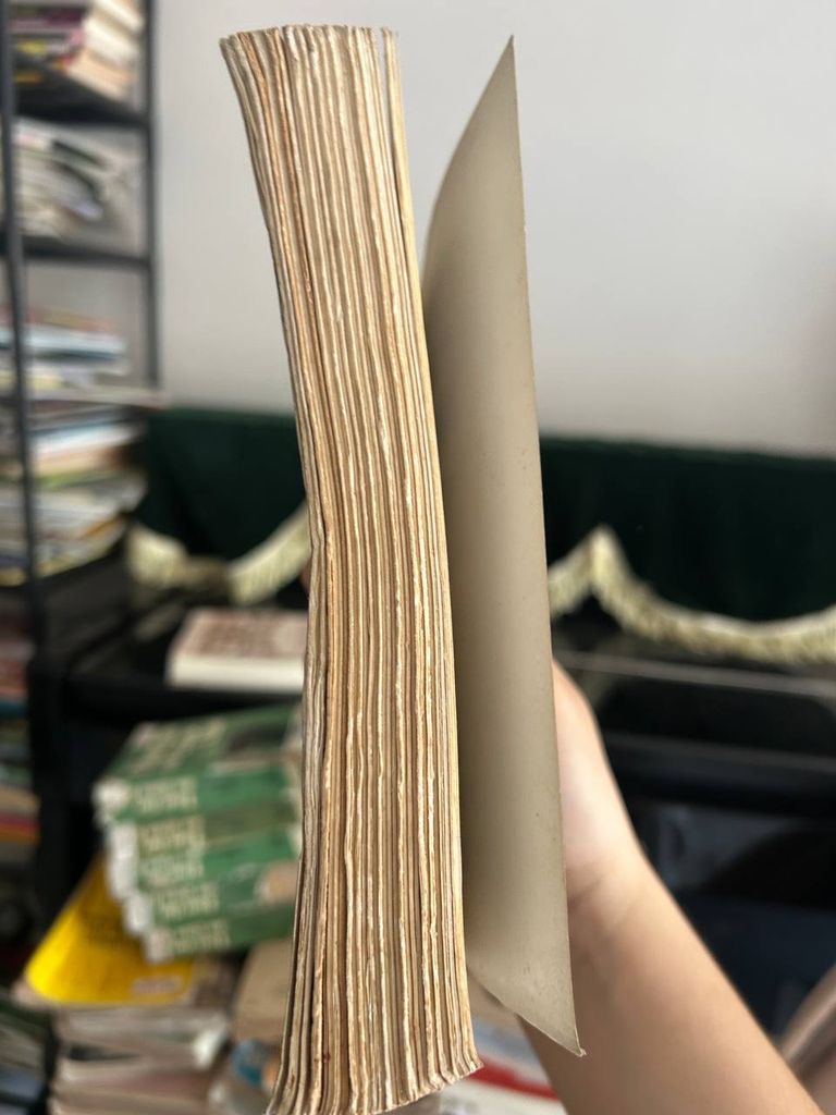 Ông Hoàng Đen - Iris Murdoch - Ảnh thực tế 4