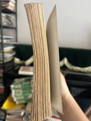 Ông Hoàng Đen - Iris Murdoch - ảnh 4