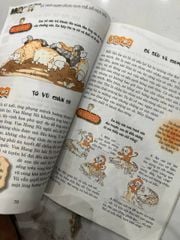 Phát triển chỉ số MQ - Các câu chuyện và trò chơi nâng cao chỉ số Đạo Đức (Bồi dưỡng chỉ số trí tuệ cho trẻ) - ảnh 4