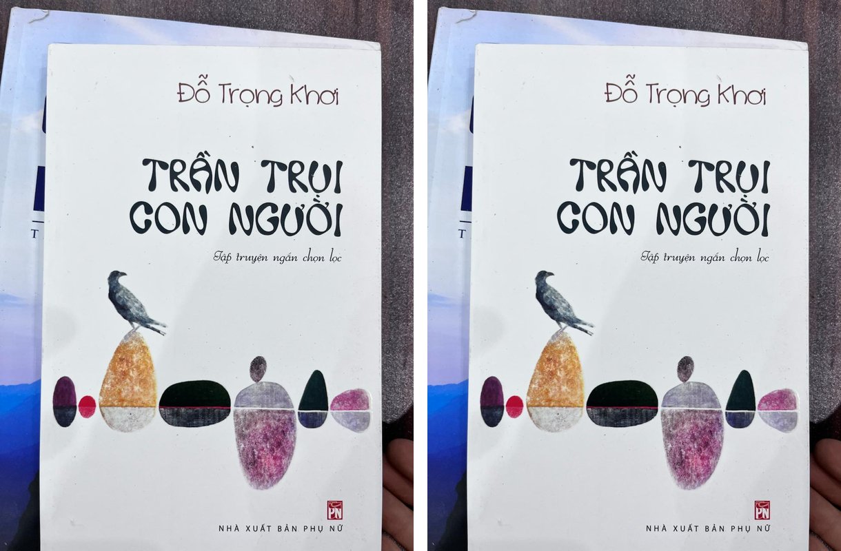 Sách của Đỗ Trọng Khơi