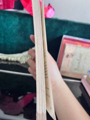 Số Đỏ - Vũ Trọng Phụng - ảnh 4