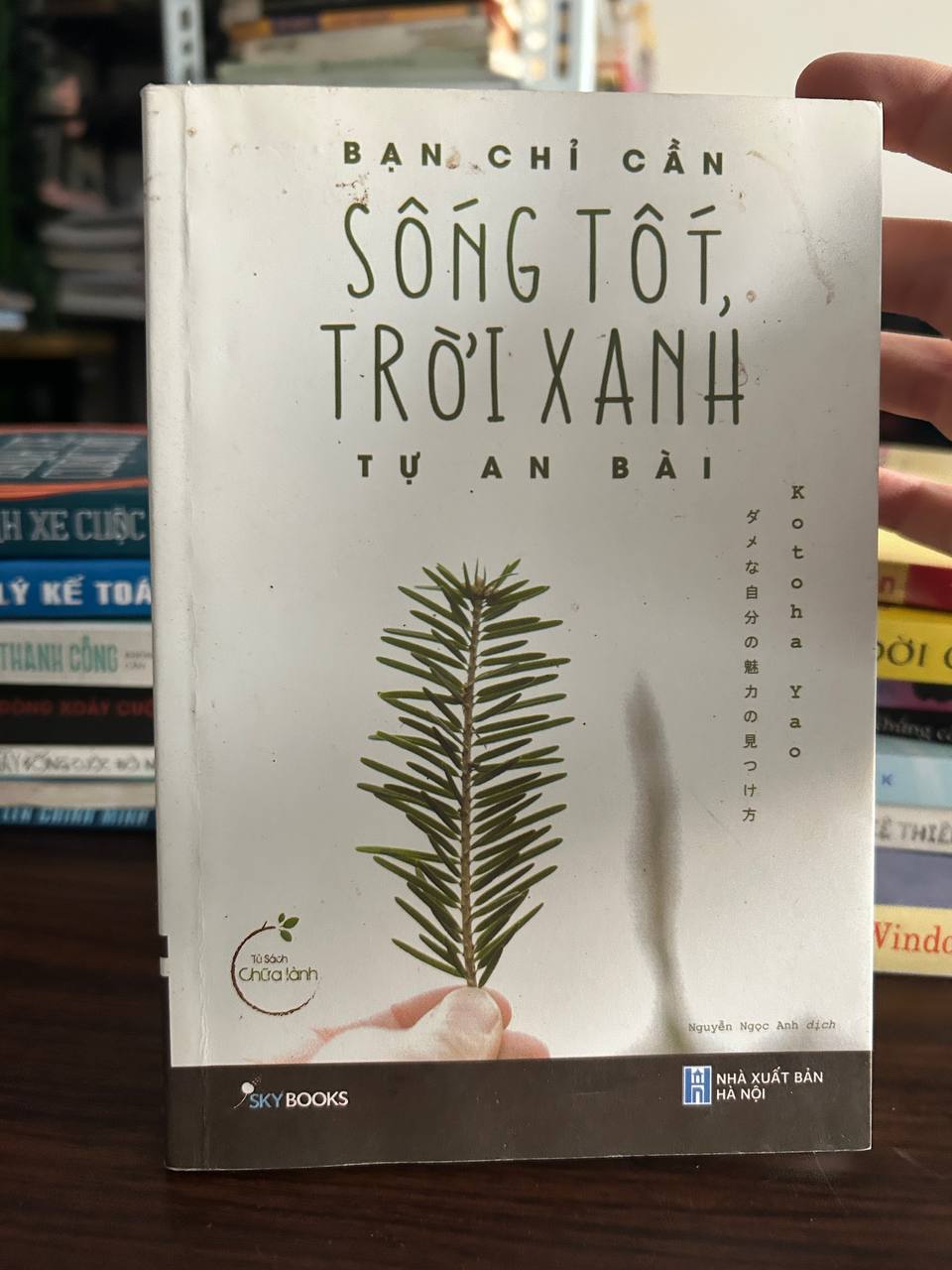 Sống Tốt, Trời Xanh - Tự An Bài - Tự An Bài