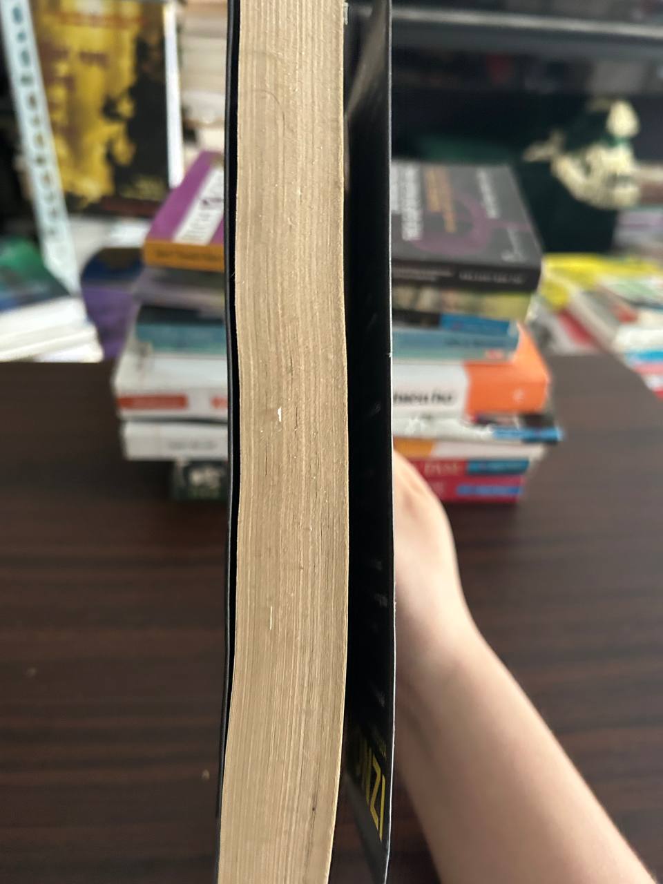 Sự Trỗi Dậy Của Siêu Lừa Ponzi - Charles Ponzi - Charles Ponzi