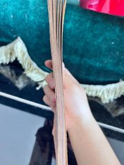 Tân Phong Nữ Sĩ - Hồ Biểu Chánh - ảnh 4