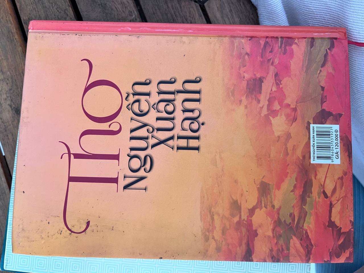Thơ - Nguyễn Xuân Hạnh - ảnh 3
