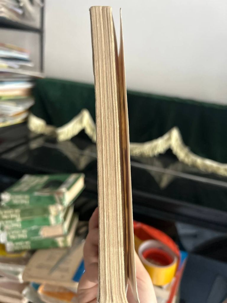 Thơ Văn Trần Tế Xương - Nguyễn Đình Chú, Lê Mai Tuyển Chọn - Trần Tế Xương (Nguyễn Đình Chú, Lê Mai tuyển chọn & giới thiệu) - Ảnh thực tế 19