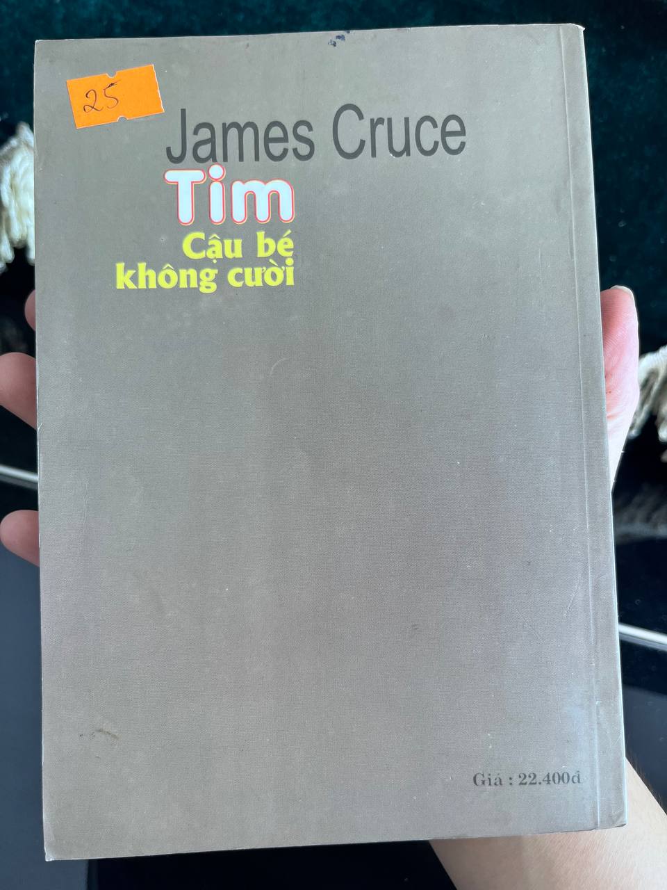 Tim - Cậu Bé Không Cười - James Cruce - James Cruce (James Krüss) - ảnh 3