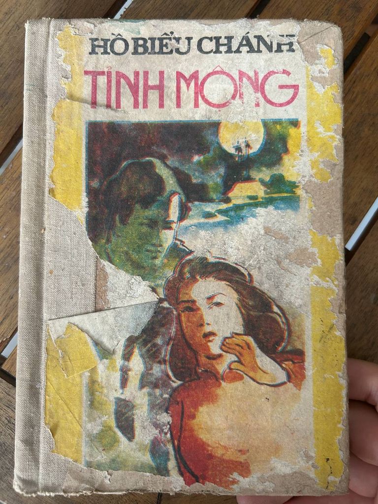 Tình Mộng - Hồ Biểu Chánh