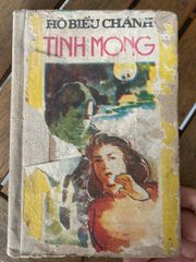 Tình Mộng - Hồ Biểu Chánh - ảnh 1