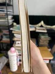 Tình Nhân Gã Vệ Sĩ - James Hadley Chase - ảnh 4