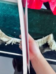 Trần Triều Hưng Đạo Đại Vương Trong Tâm Thức Dân Tộc Việt - Hồ Đức Thọ - ảnh 4