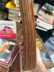 Trung Quốc và việc giải quyết cuộc chiến tranh Đông Dương lần thứ nhất - Phùng Gia - ô - ảnh 4