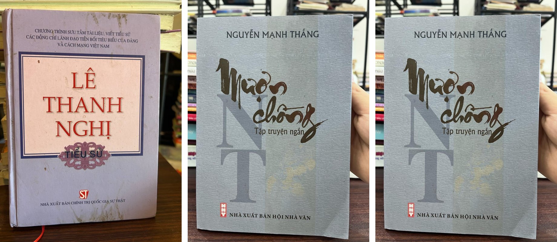 Truyện ngắn Nguyễn Mạnh Thắng