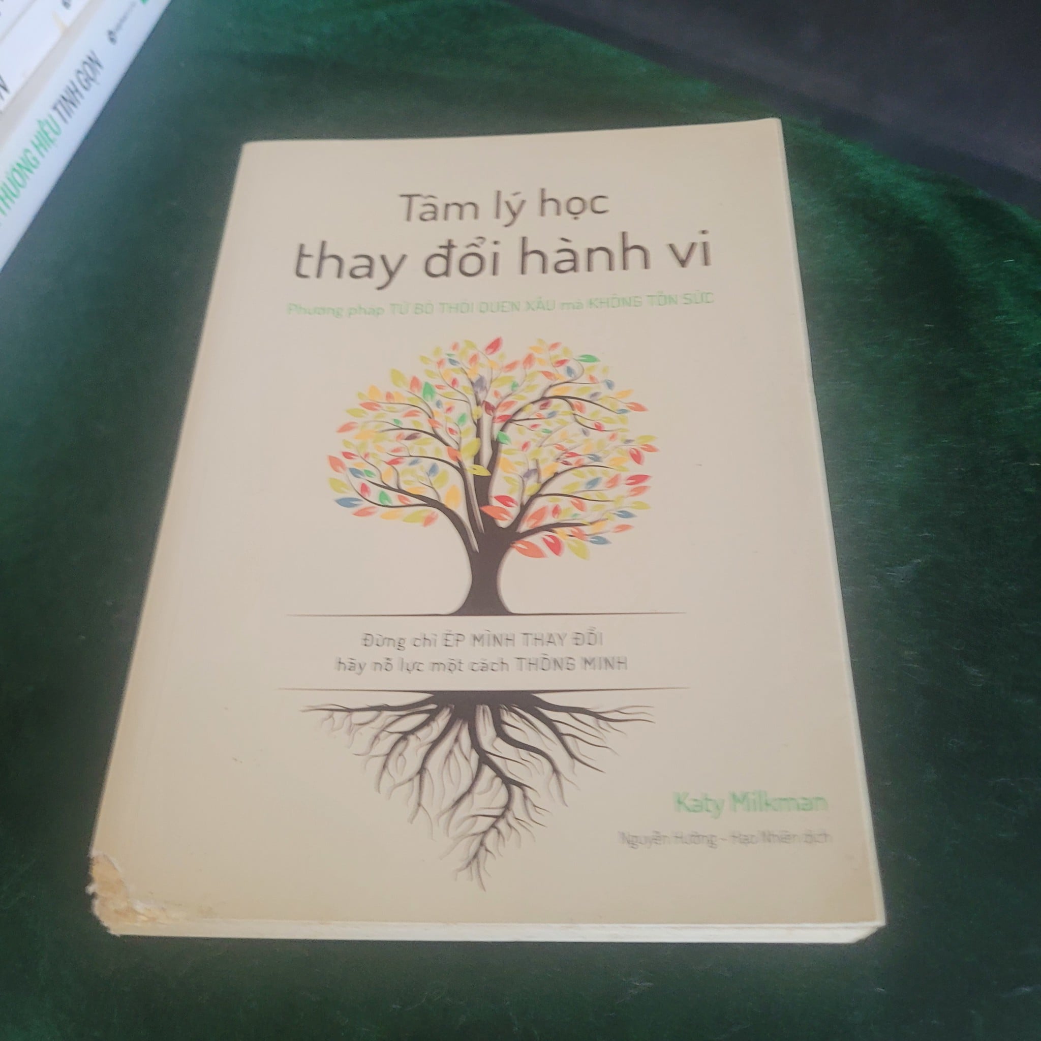 Tâm Lý Học Thay Đổi Hành Vi – Katy Milkman